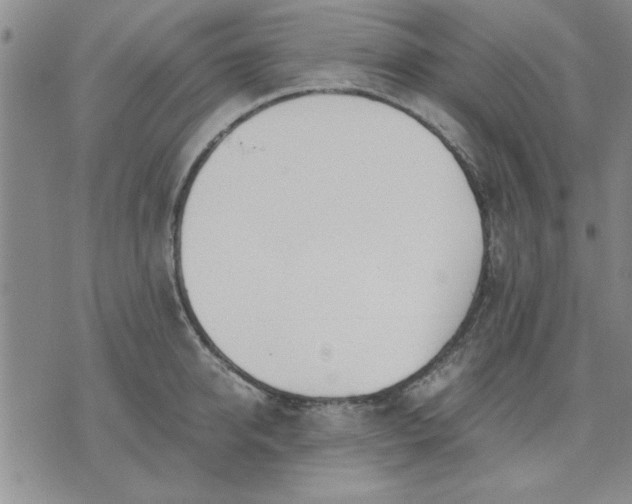 X0000071830950200607141657