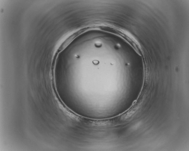 X0000071830951200607141657