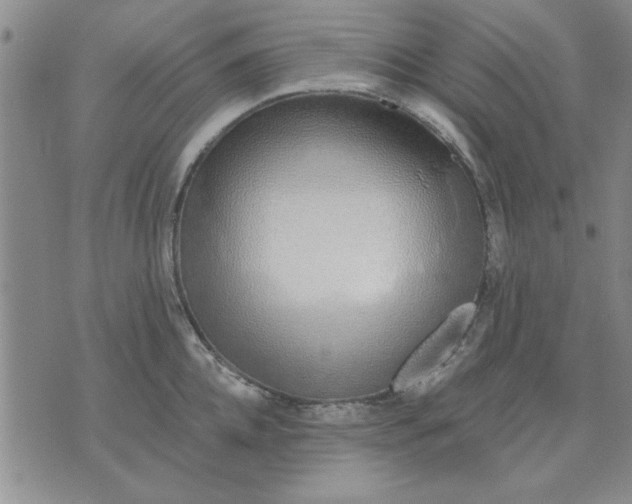 X0000071830952200607141657