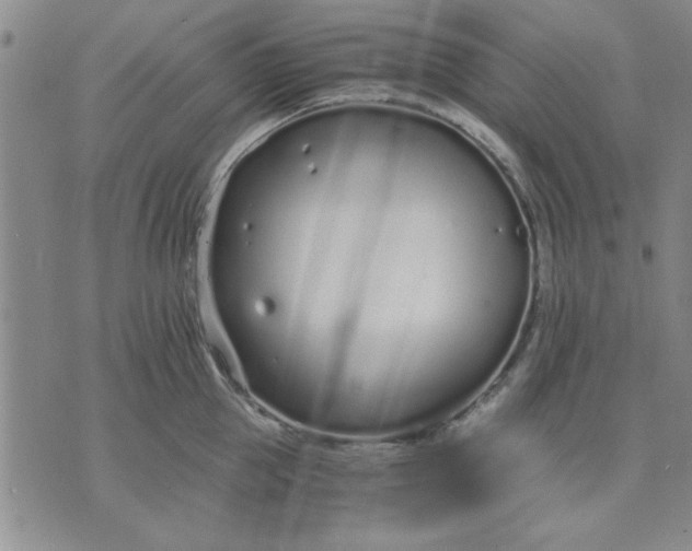 X0000071830953200607141657