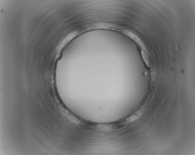 X0000071830954200607141657