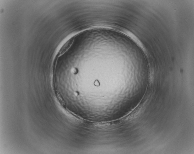 X0000071830955200607141657