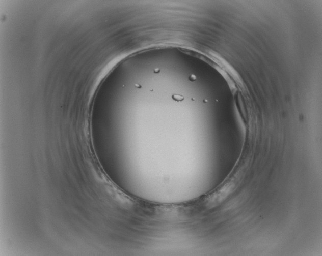 X0000071830956200607141657