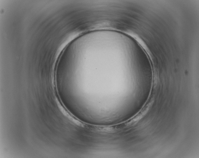 X0000071830957200607141657