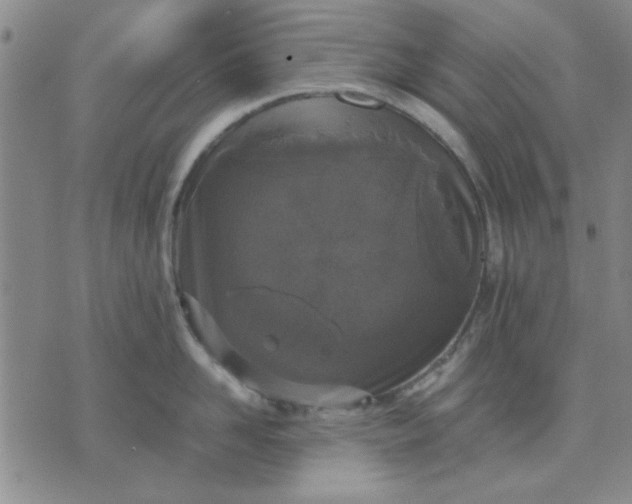 X0000071830958200607141657