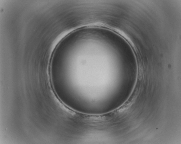 X0000071830959200607141657