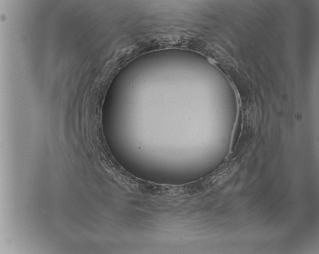 X0000071830961200607141656