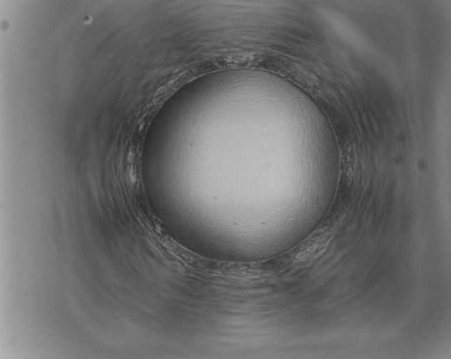 X0000071830962200607141656