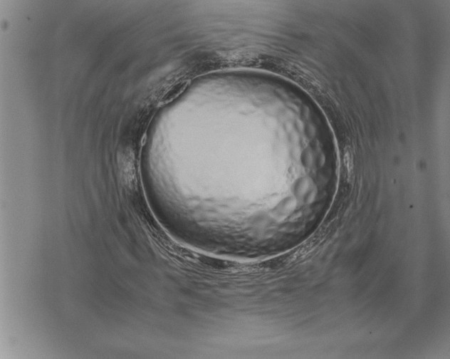 X0000071830963200607141656