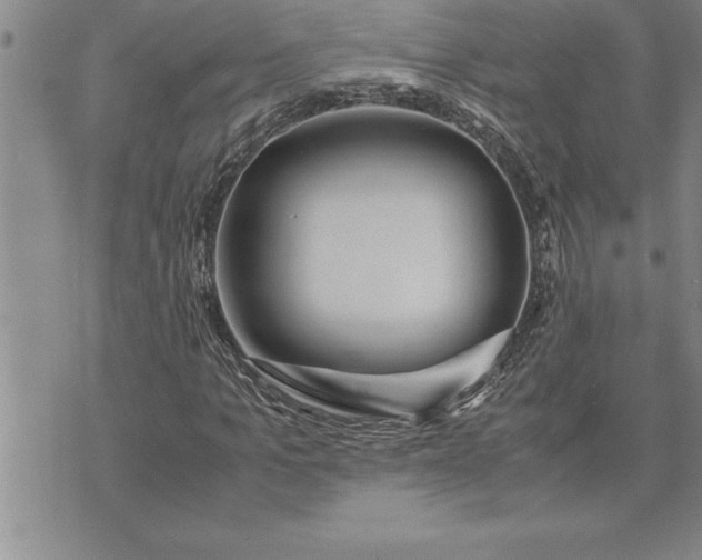 X0000071830965200607141656