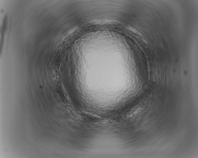 X0000071830966200607141656