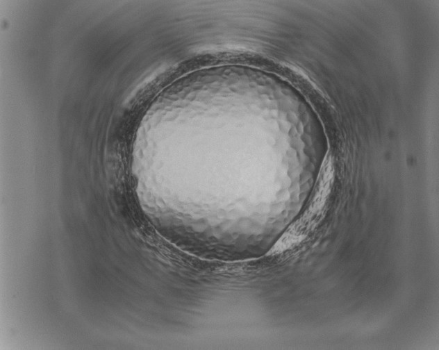 X0000071830967200607141656