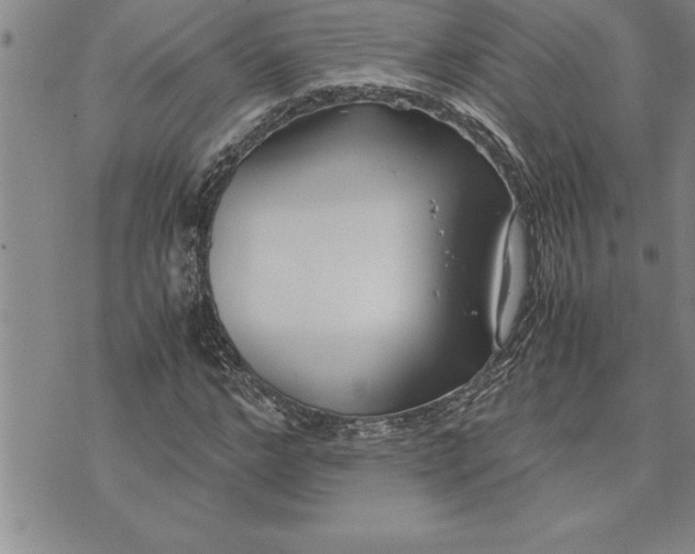 X0000071830968200607141656