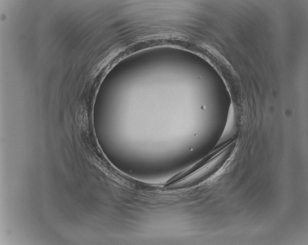 X0000071830969200607141656