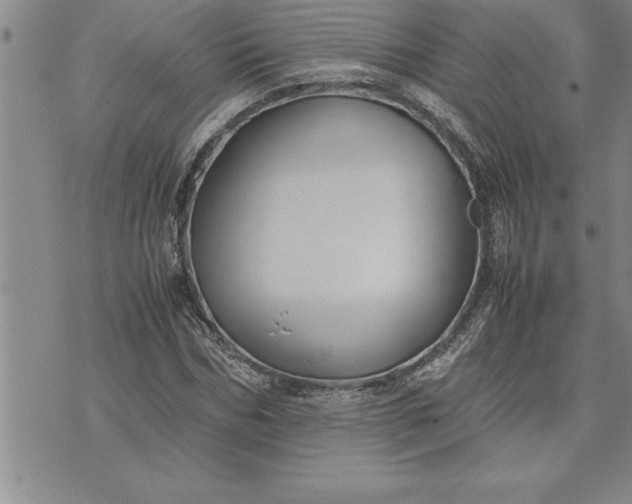 X0000071830970200607141656