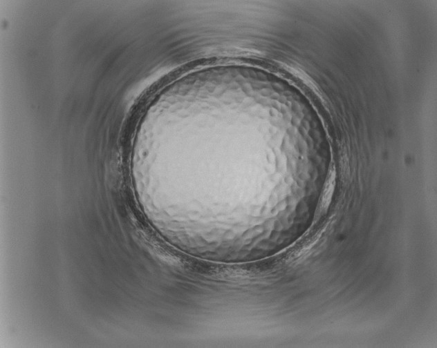 X0000071830971200607141656