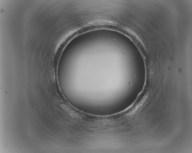 X0000071830973200607141656