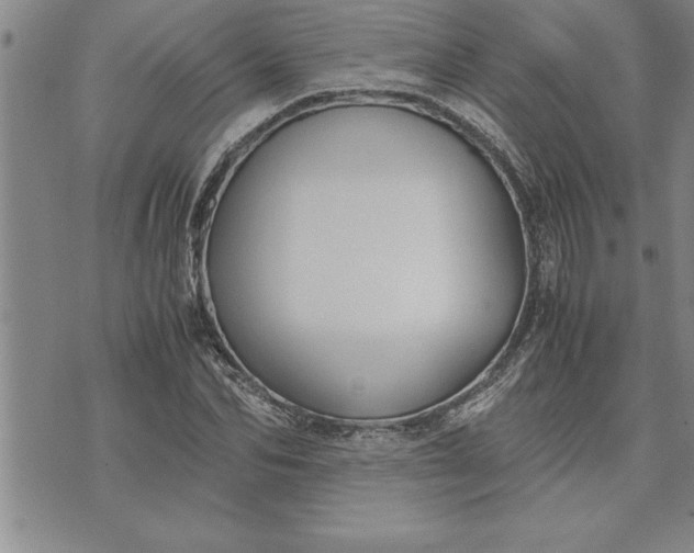 X0000071830974200607141656