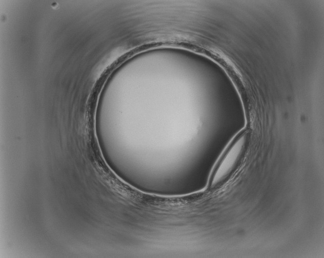 X0000071830975200607141656