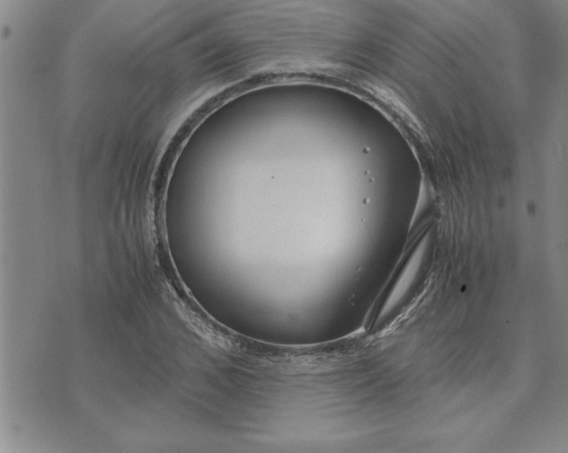 X0000071830976200607141656