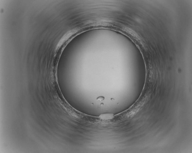 X0000071830978200607141656