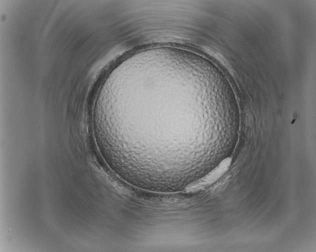 X0000071830979200607141656