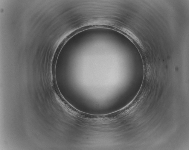 X0000071830980200607141656