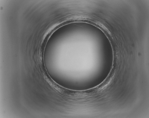 X0000071830981200607141656