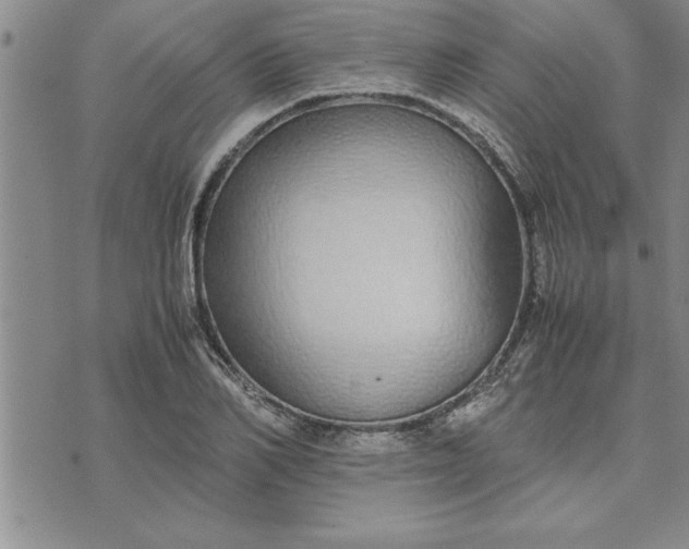 X0000071830982200607141656