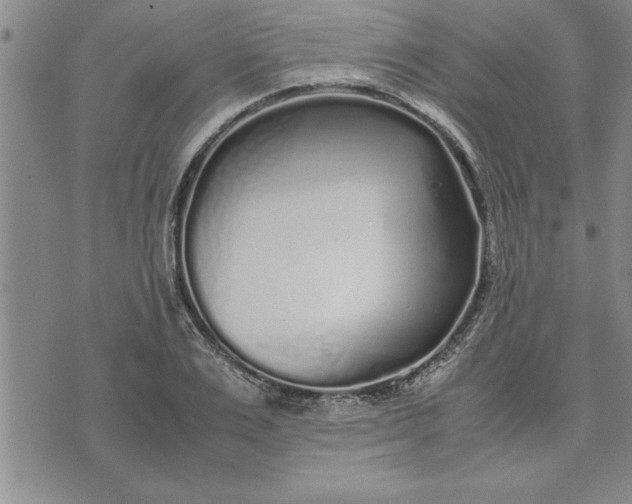 X0000071830983200607141656