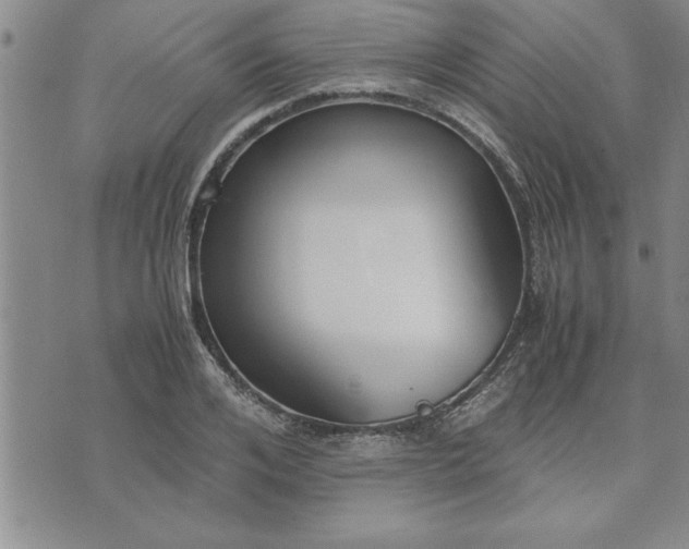 X0000071830984200607141656