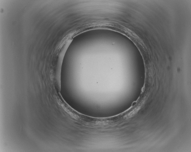 X0000071830985200607141656