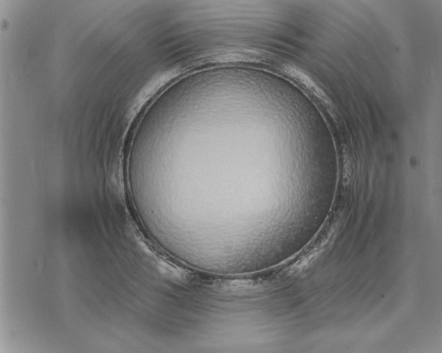 X0000071830986200607141656