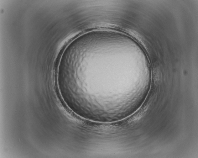 X0000071830987200607141656