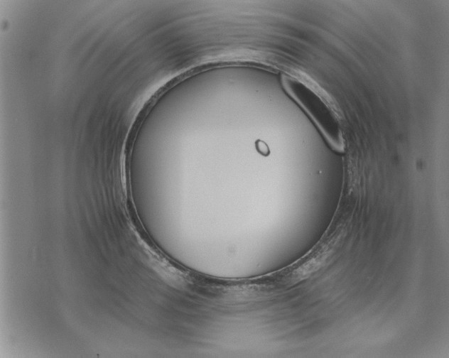 X0000071830988200607141656