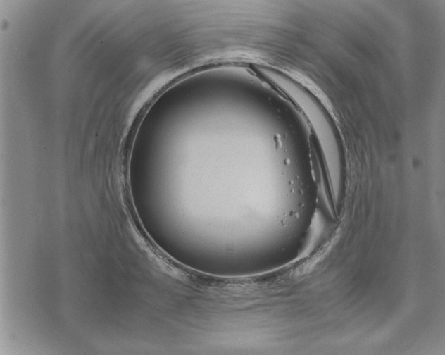 X0000071830989200607141656