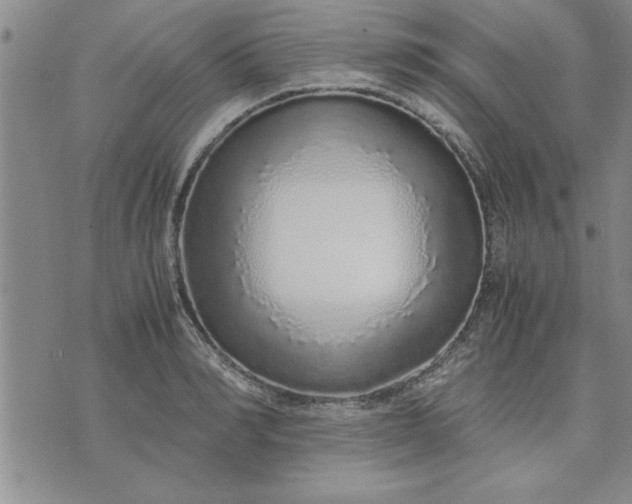 X0000071830990200607141656