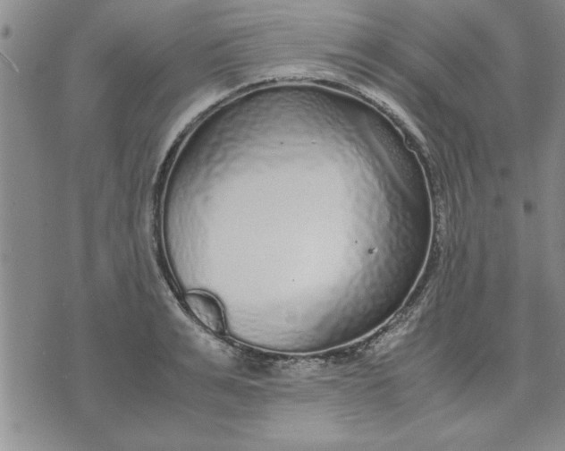 X0000071830991200607141656