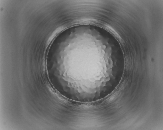 X0000071830994200607141656