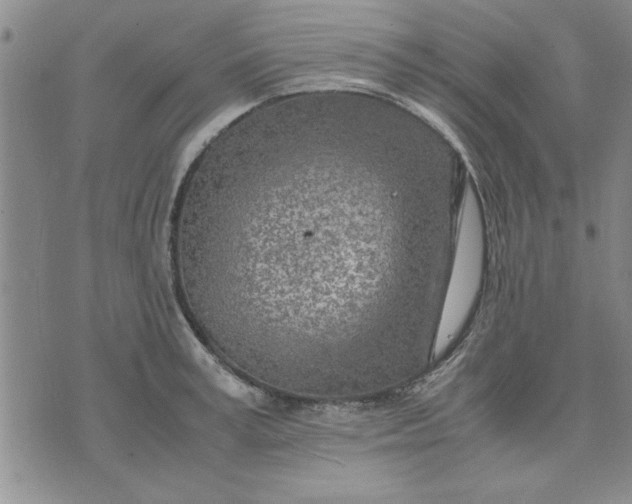 X0000071830995200607141656