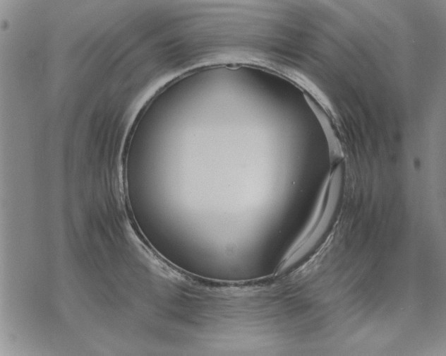 X0000071830996200607141656