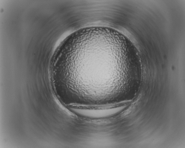 X0000071830998200607141655