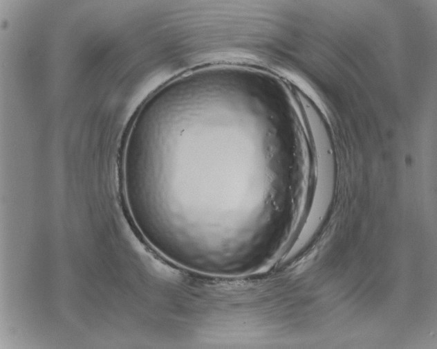 X0000071830999200607141655