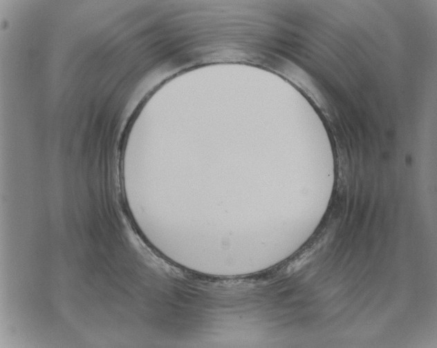 X0000071831000200607141655