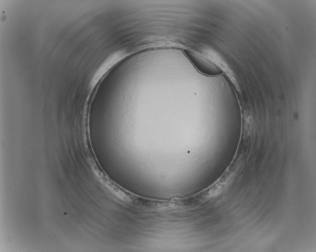 X0000071831002200607141655