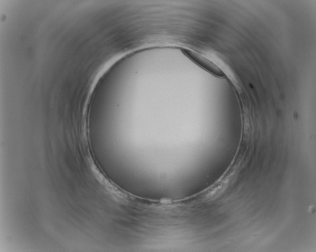 X0000071831004200607141655