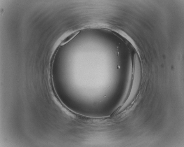 X0000071831005200607141655