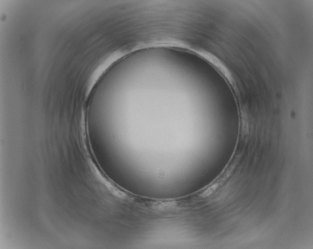 X0000071831006200607141655