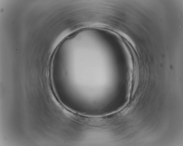 X0000071831007200607141655