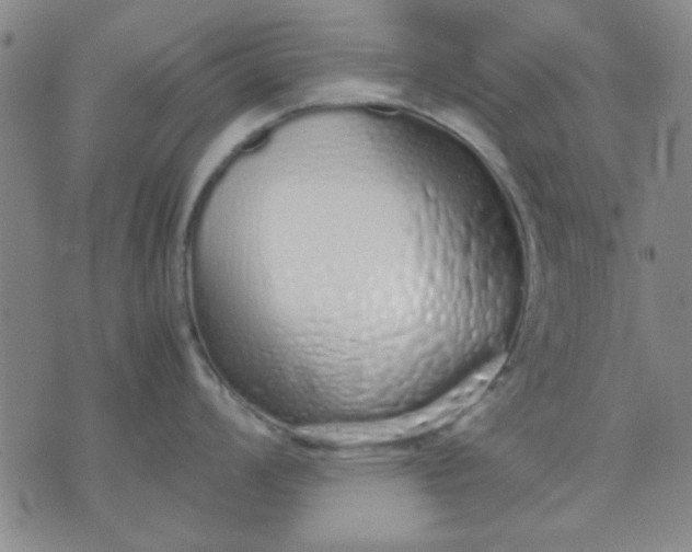 X0000071831008200607141655